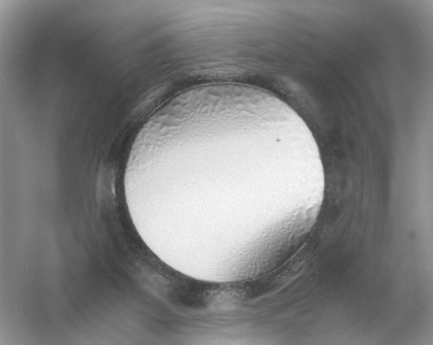 X0000061110115200512022136