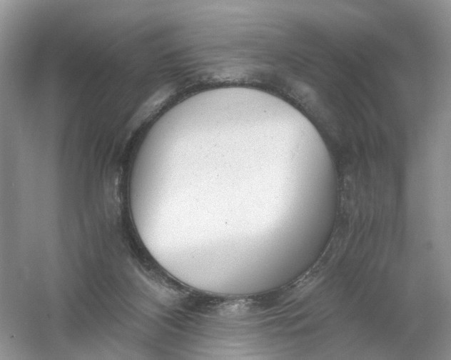 X0000061110116200512022136