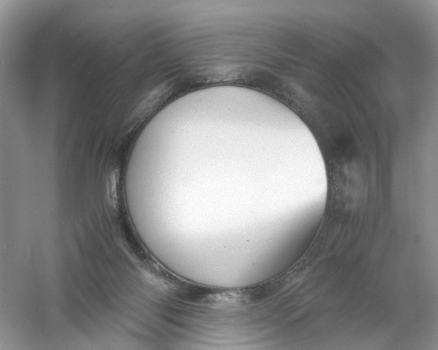 X0000061110118200512022136