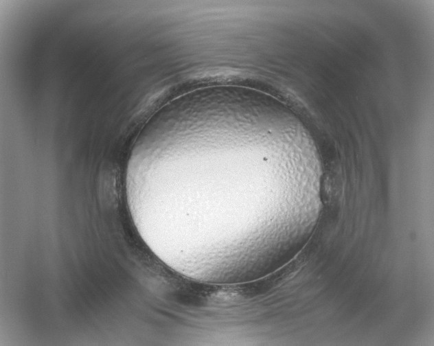 X0000061110119200512022136