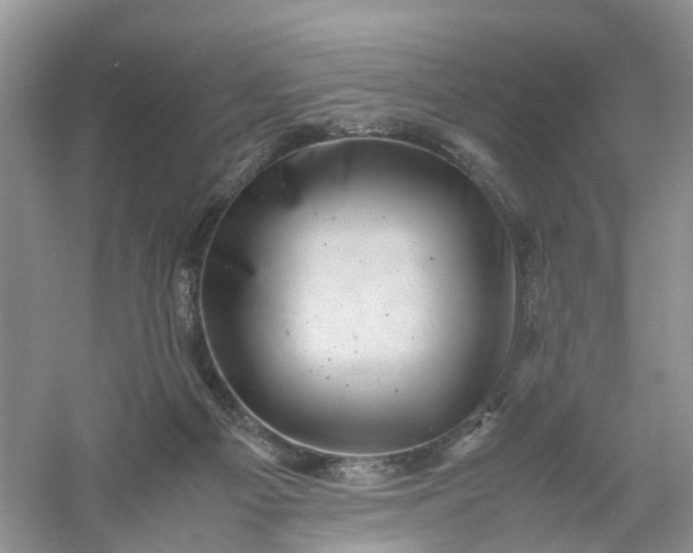 X0000061110121200512022136