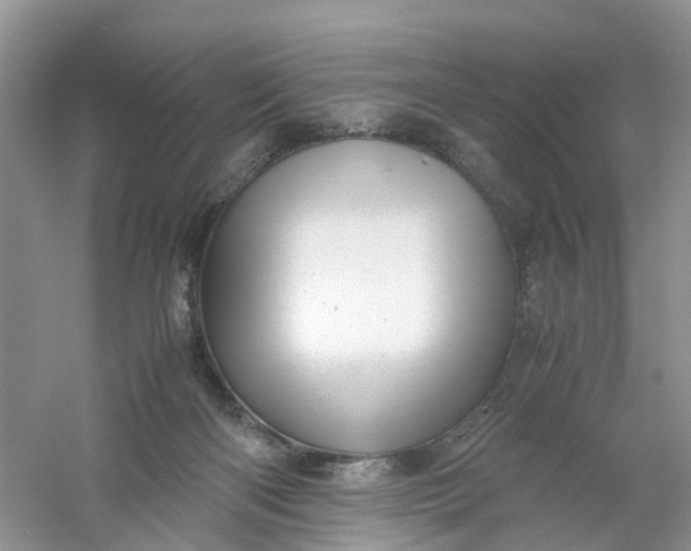 X0000061110122200512022136