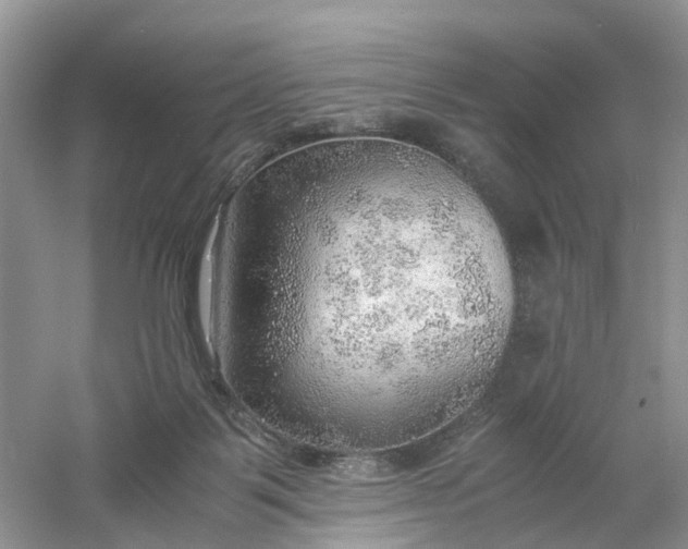 X0000061110123200512022136