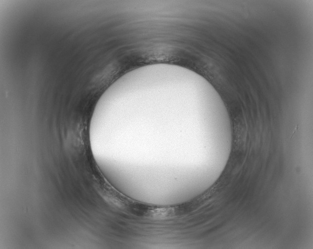 X0000061110126200512022136