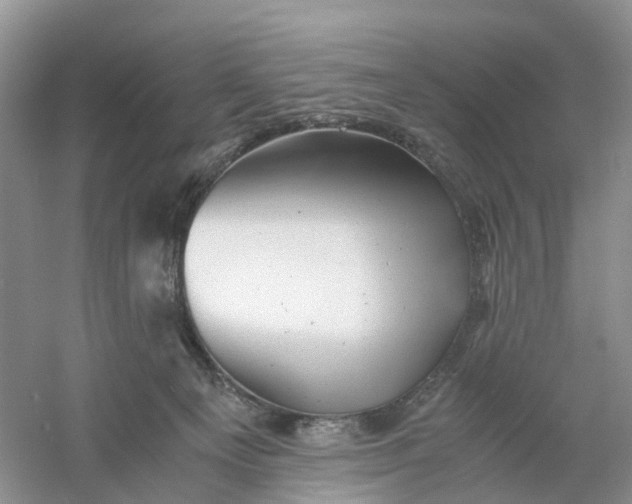 X0000061110129200512022136