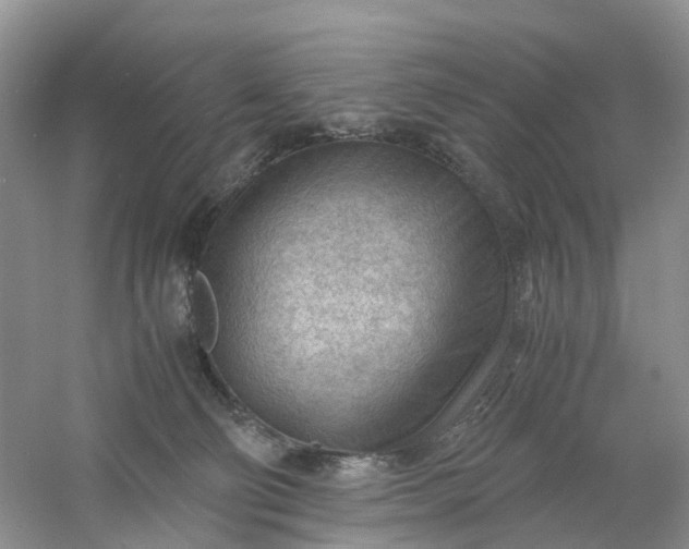 X0000061110130200512022136