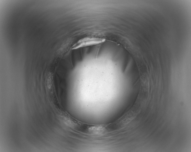 X0000061110133200512022136