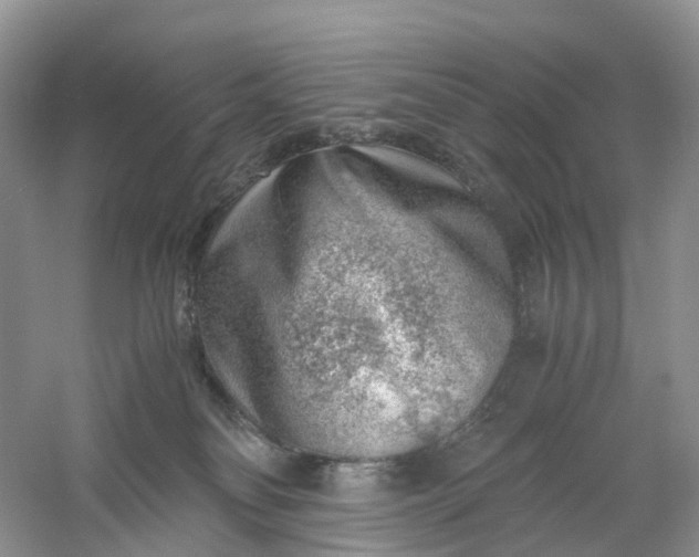 X0000061110134200512022136