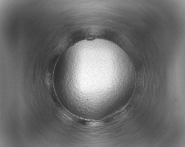 X0000061110135200512022136