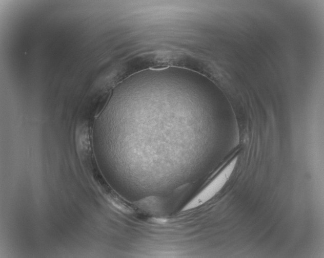 X0000061110137200512022136