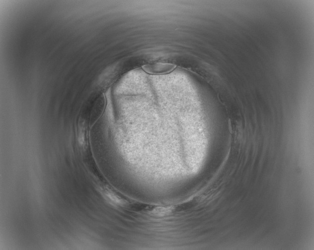 X0000061110138200512022135