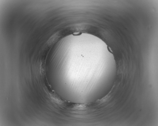 X0000061110140200512022135