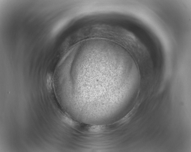 X0000061110142200512022135