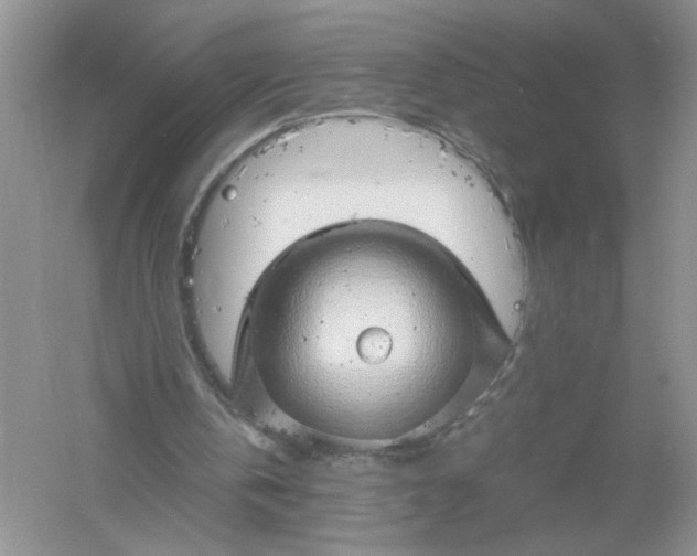 X0000061110146200512022135