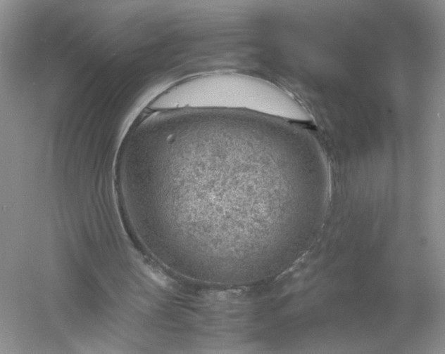 X0000061110147200512022135