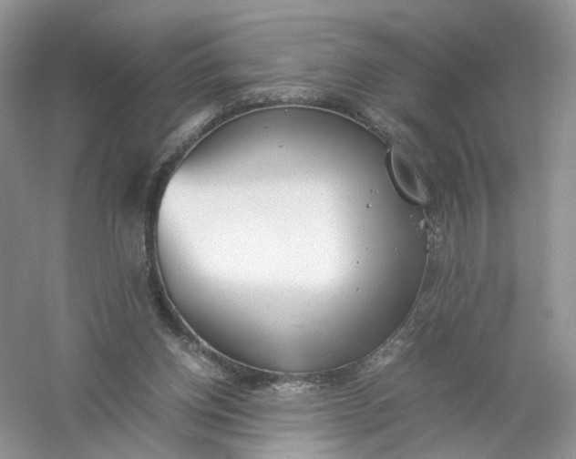 X0000061110158200512022135