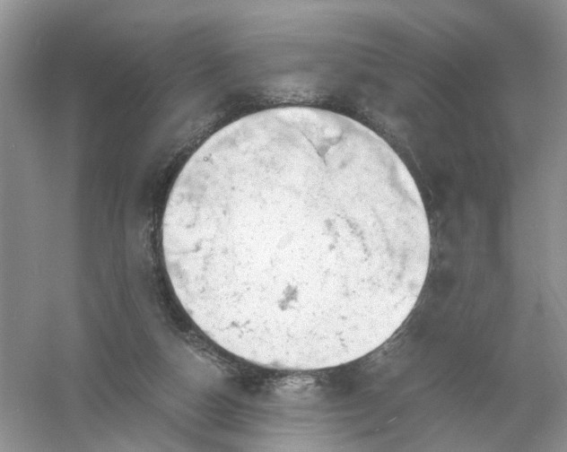 X0000061110162200512022135