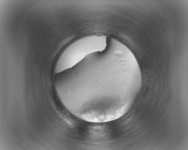 X0000061110163200512022135