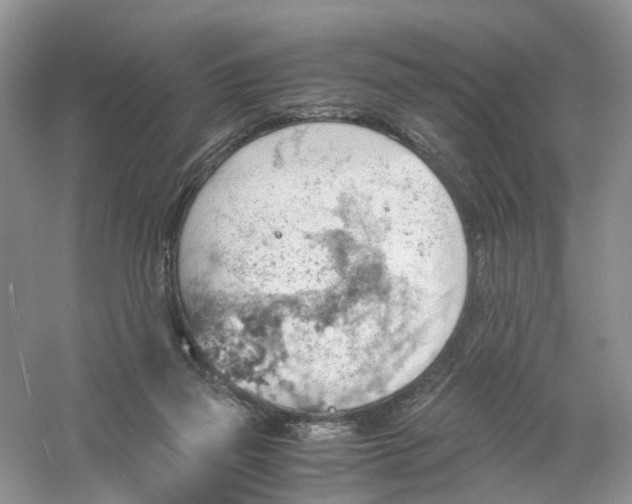 X0000061110165200512022135