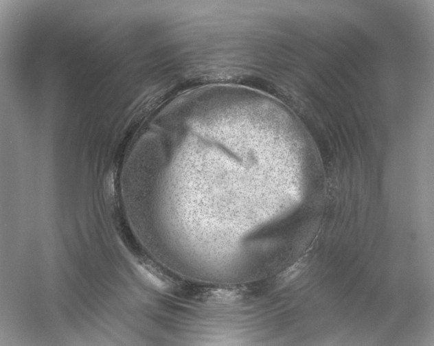 X0000061110166200512022135