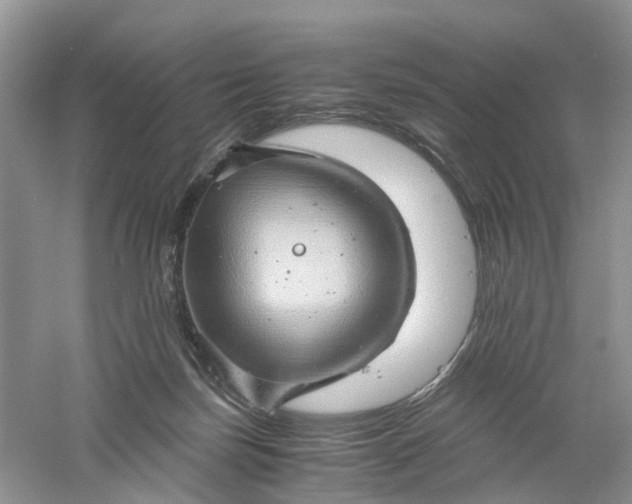 X0000061110171200512022135