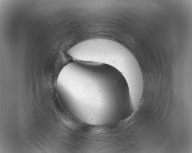 X0000061110175200512022135