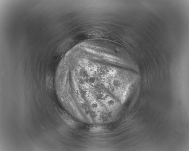 X0000061110177200512022135