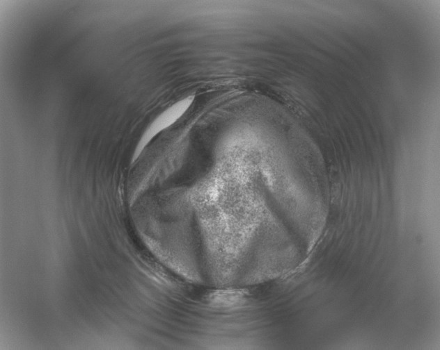 X0000061110179200512022135