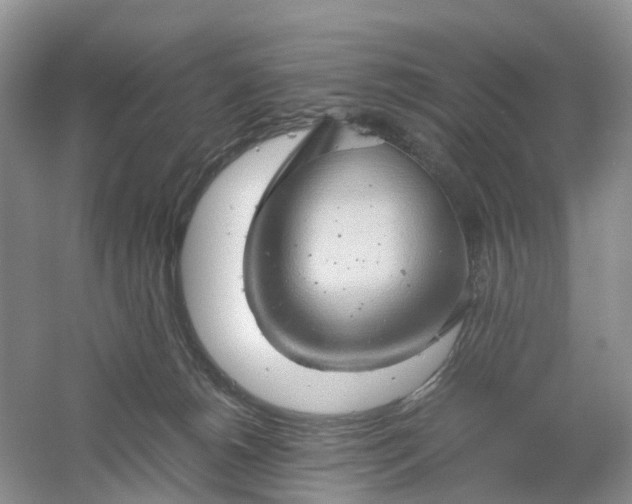 X0000061110180200512022135