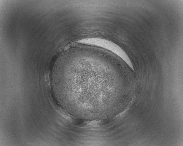 X0000061110182200512022135