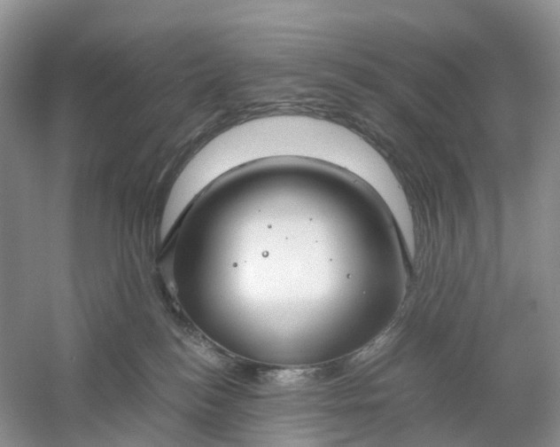 X0000061110184200512022135