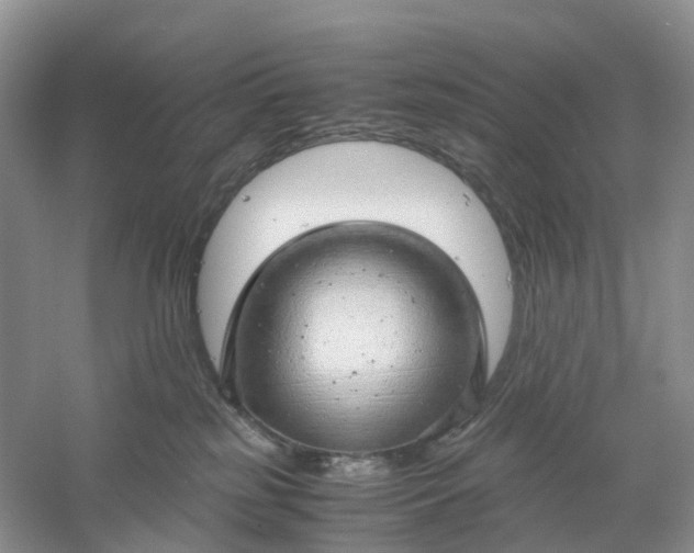 X0000061110185200512022135