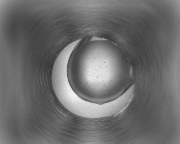 X0000061110186200512022135