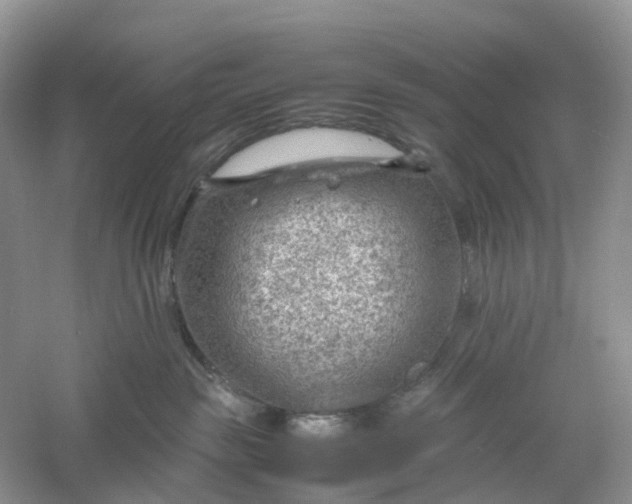 X0000061110189200512022135