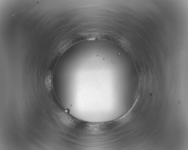 X0000061110190200512022135