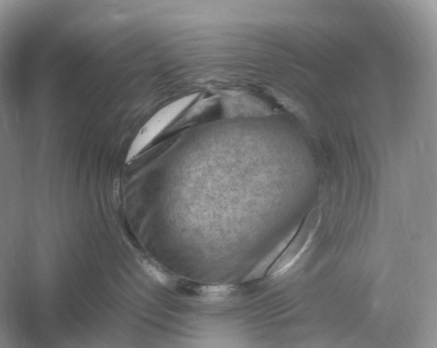 X0000061110192200512022135