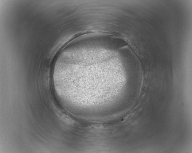 X0000061110194200512022135