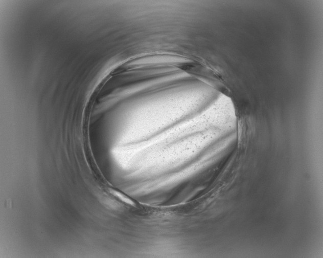 X0000061110195200512022134