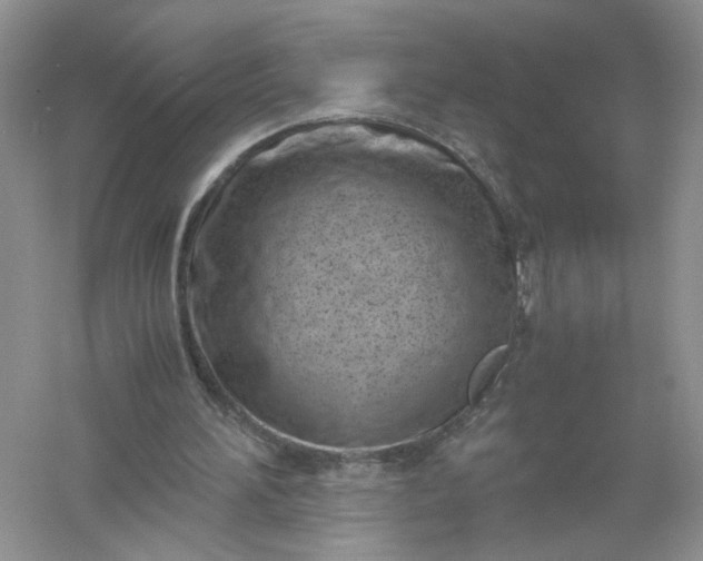 X0000061110196200512022134