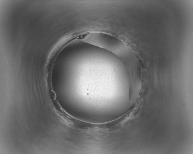 X0000061110197200512022134