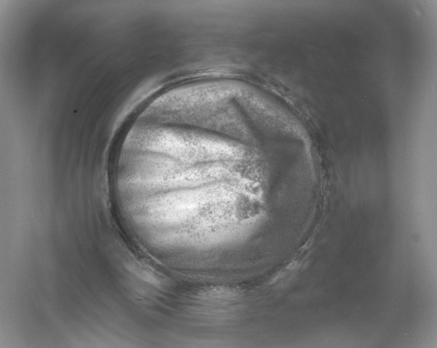 X0000061110198200512022134