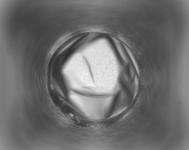 X0000061110199200512022134