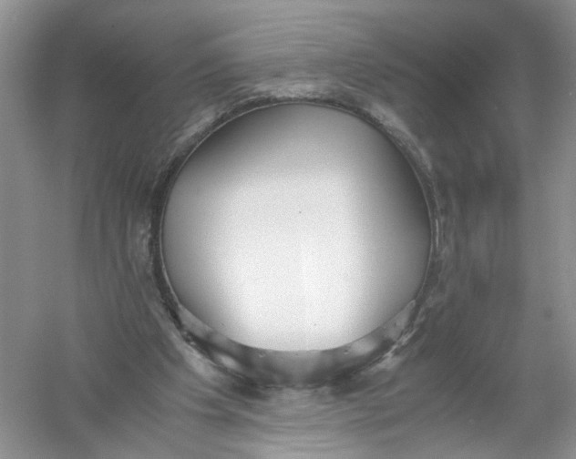 X0000061110201200512022134