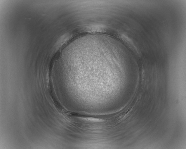 X0000061110202200512022134