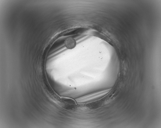 X0000061110203200512022134