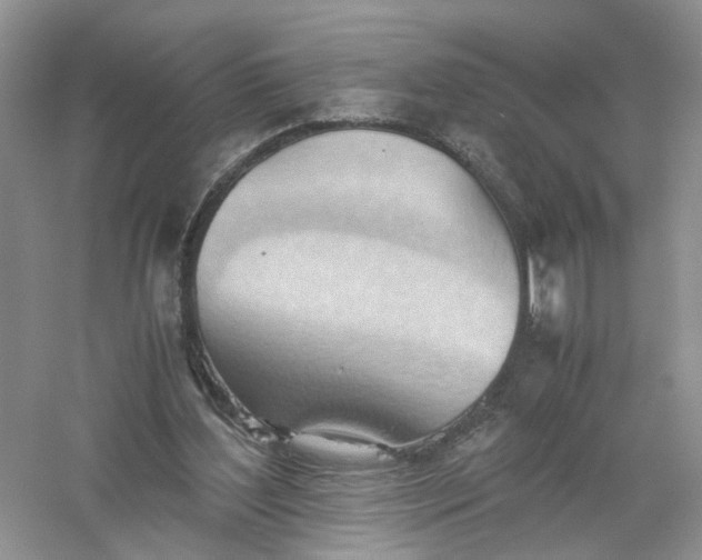 X0000061110204200512022134