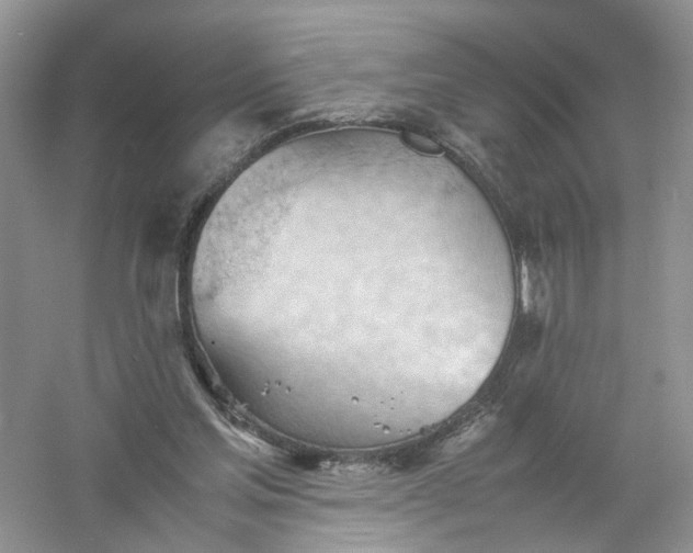 X0000061110205200512022134