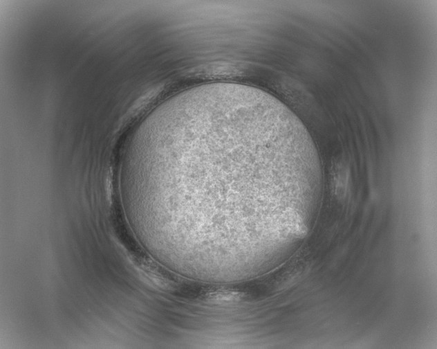 X0000061110206200512022134