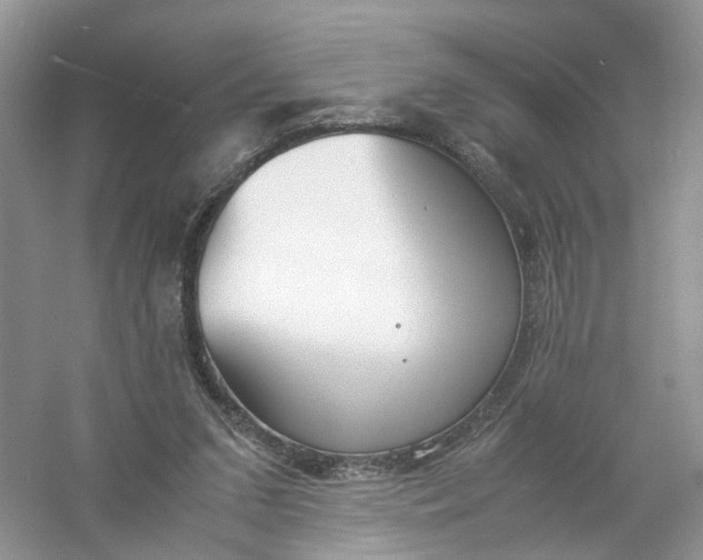 X0000061110207200512022134