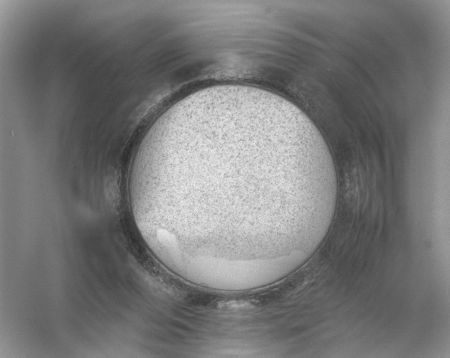 X0000061110208200512022134